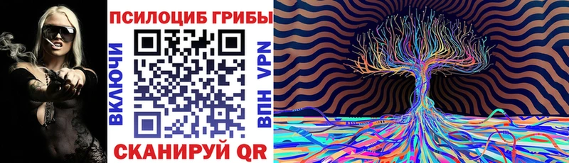 Купить где  Байкальск  Галлюциногенные грибы Cubensis 